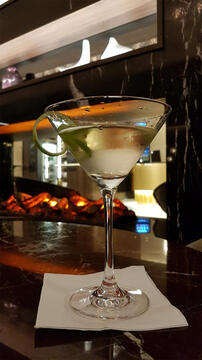 A wonderful "gimlet" at Hotel Adina's elegant bar.