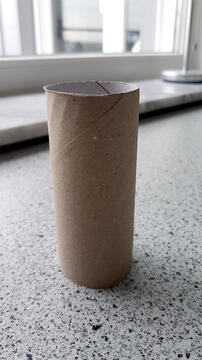 The Great German Toilet Paper Crisis of 2020.