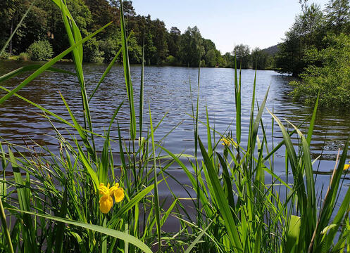 Tour around the "Palatinate".