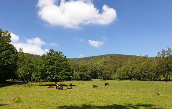 Tour around the "Palatinate".