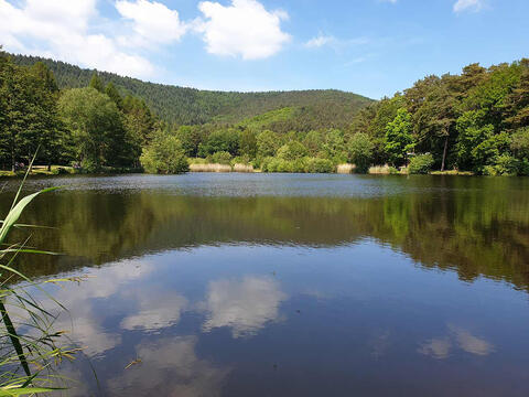 Tour around the "Palatinate".