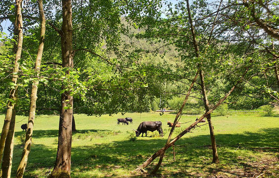 Tour around the "Palatinate".
