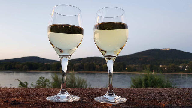 Wine along the Rhine.