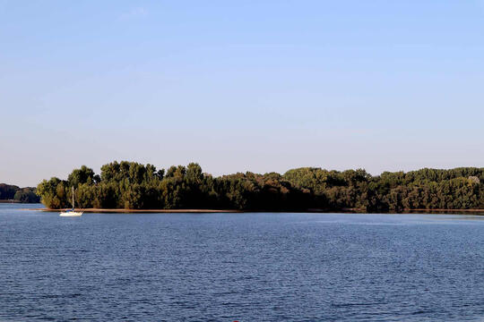 Dell XPS 17 (2020) with Stephen King's "Different Seasons" cover as my wallpaper background.