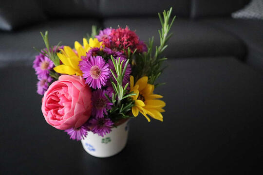 Scheibel distillery.