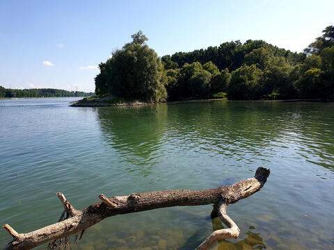 Kappelrodeck (Baden-Württemberg).