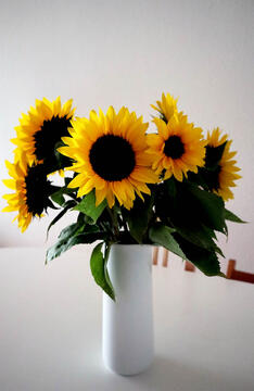 Birthday buffet in Ditzingen.