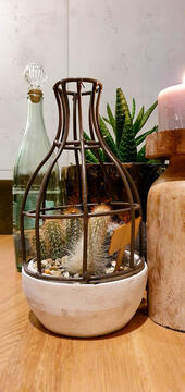 Birthday dinner at "Portale 50" in Karlsruhe.